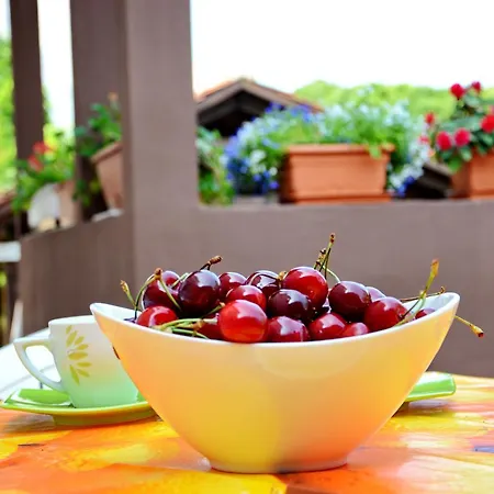 Gabi 1 Apartment Zadar