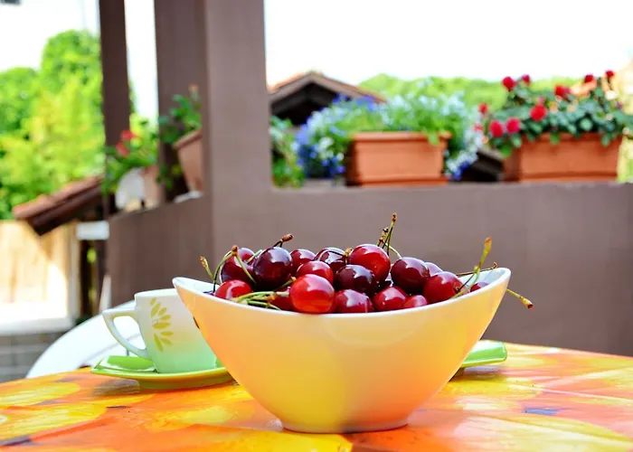 Gabi 1 דירה זאדאר